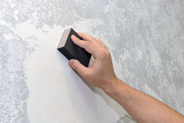 Best Mold Damage Restoration  in Arnold, MD