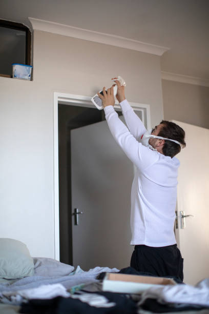 Best Industrial Mold Remediation  in Arnold, MD