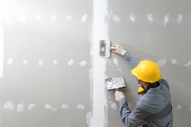 Best Commercial Mold Inspection  in Arnold, MD
