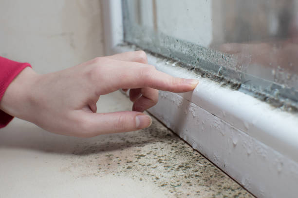 Best Airborne Mold Testing  in Arnold, MD