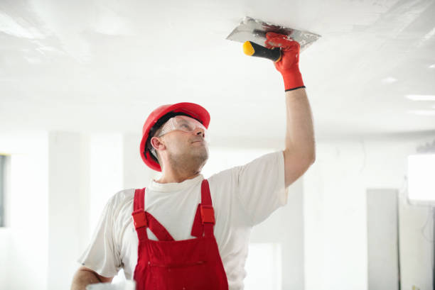 Best Environmental Consulting for Mold Prevention  in Arnold, MD