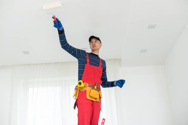 Best Basement Mold Removal  in Arnold, MD