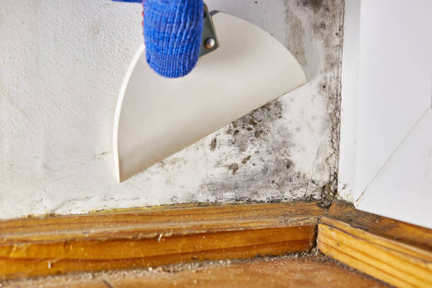 Best Post-Remediation Verification Testing  in Arnold, MD