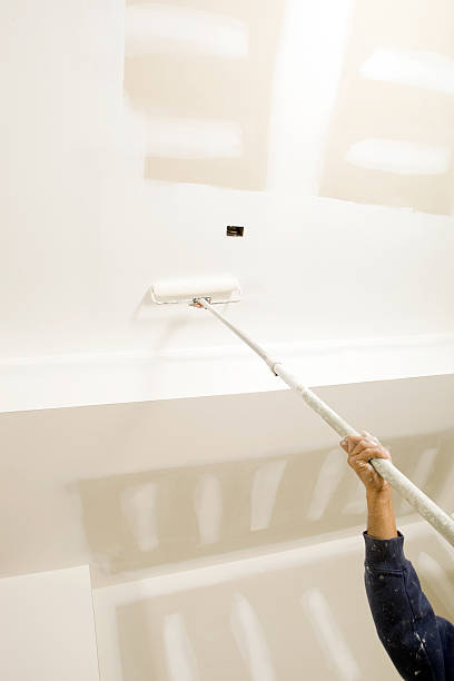 Best Emergency Mold Remediation  in Arnold, MD