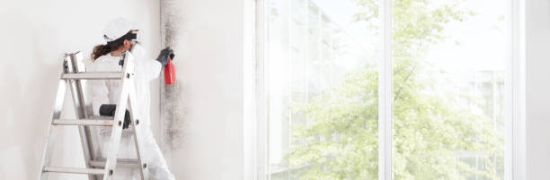 Best Mold Damage Restoration  in Arnold, MD