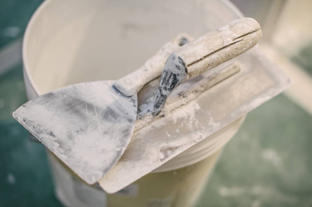 Best HVAC Mold Inspection and Cleaning  in Arnold, MD